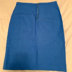 Blue skirt